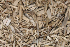 biomass boilers Caldbeck